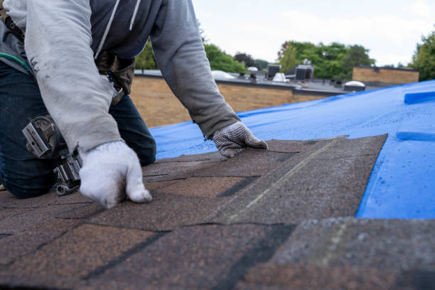 Best Residential Roofing Contractor  in Knightstown, IN