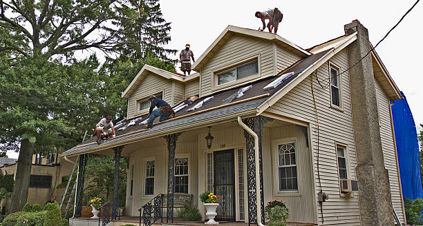 Best Storm Damage Roof Repair  in Knightstown, IN